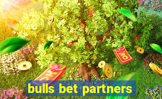 bulls bet partners